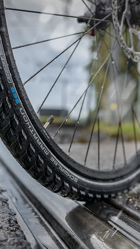 Schwalbe 365