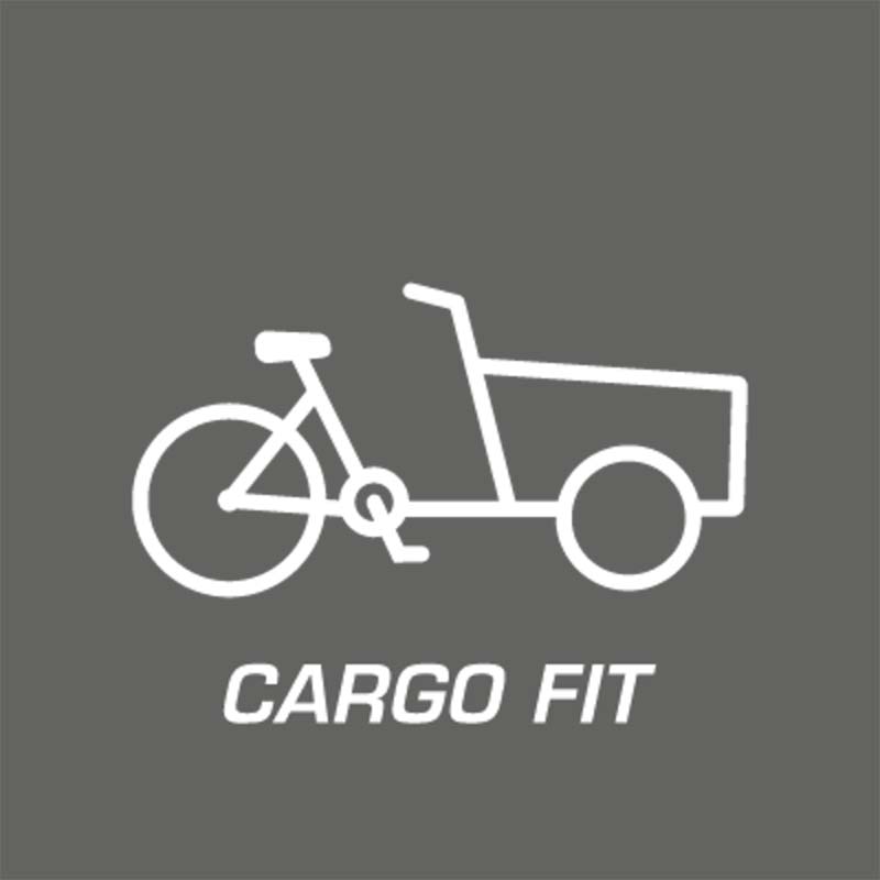 Cargo Fit Cargo Fit