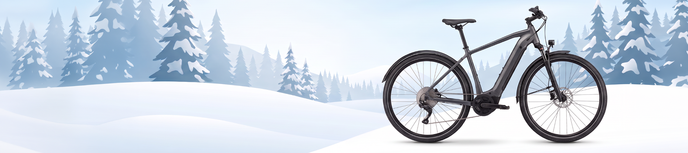 E-Bike in winterlicher Landschaft