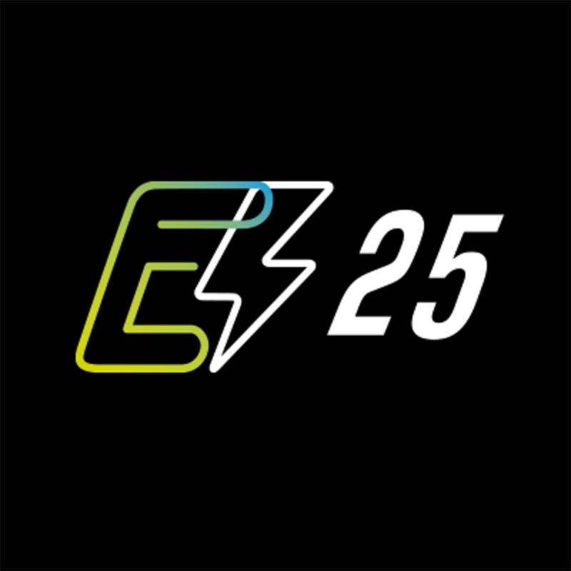 E-Bike E-25